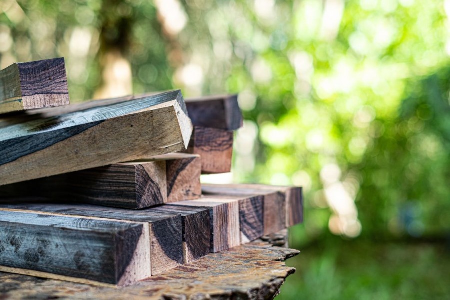 Les caractéristiques du bois d'ébène pour la sculpture